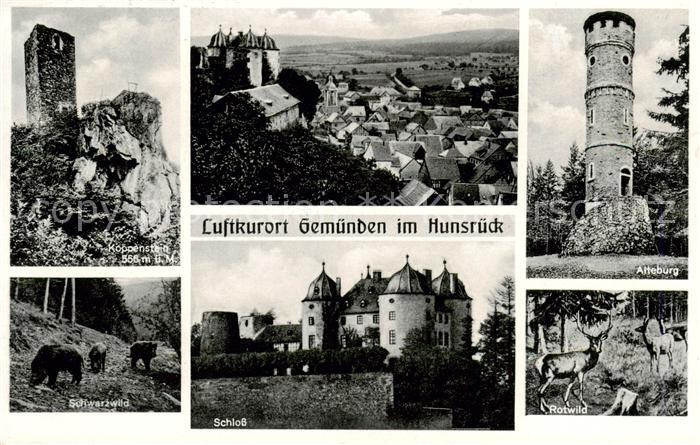 Gemuenden Hunsrueck Koppenstein Schwarzwald Panorama Schloss Alteburg Rotwild