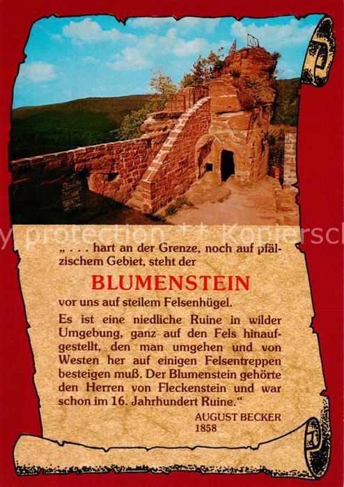 Blumenstein Burgruine Schoenau Pfalz Wasgau Burgansicht