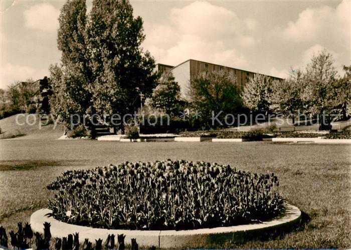 STUTTGART  CITY BUGA 1961 Tulpenbluete bei den grossen Ausstellungshallen