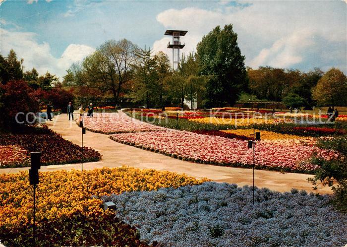 STUTTGART  CITY BUGA 1961 Bunter Blumenteppich mit Aussichtsturm