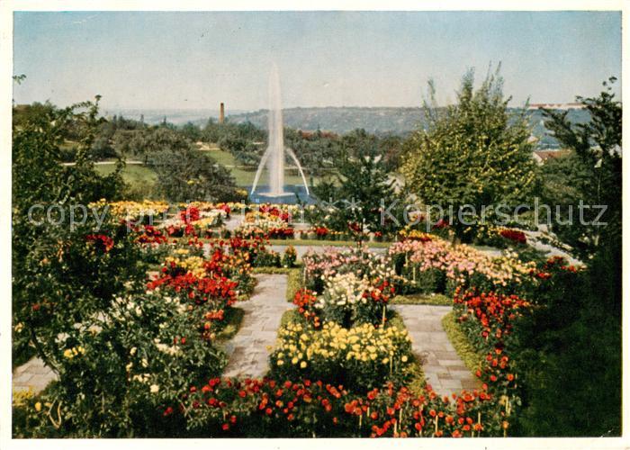 STUTTGART  CITY Hoehenpark Killesberg Stuttgarter Gartenschau Blumenmeer bei der