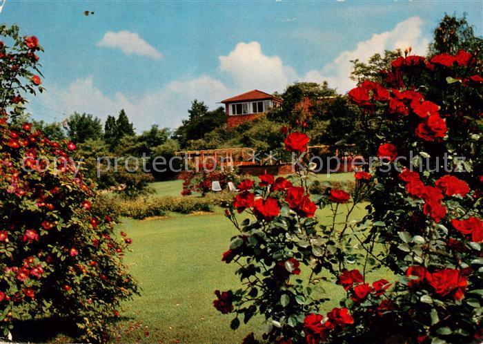 STUTTGART  CITY BUGA 1961 Rosenbluete mit Pergula und Hoehencafe