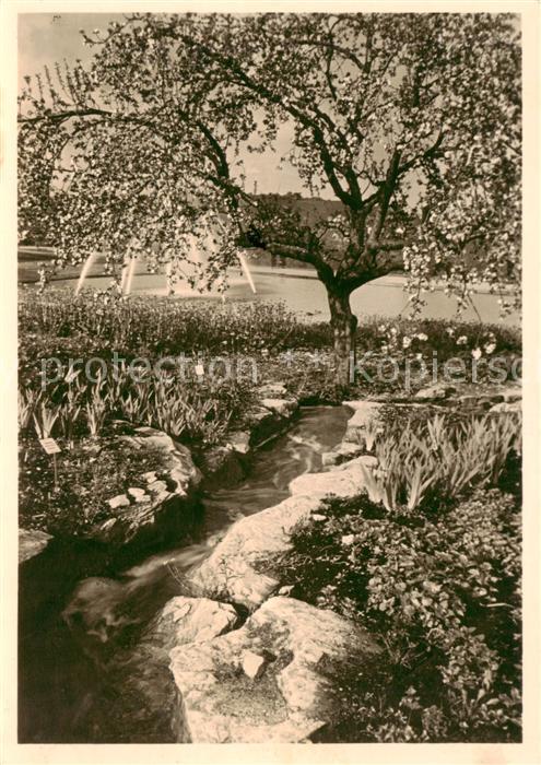 STUTTGART  CITY Reichsgartenschau 1939 Im Seengebiet