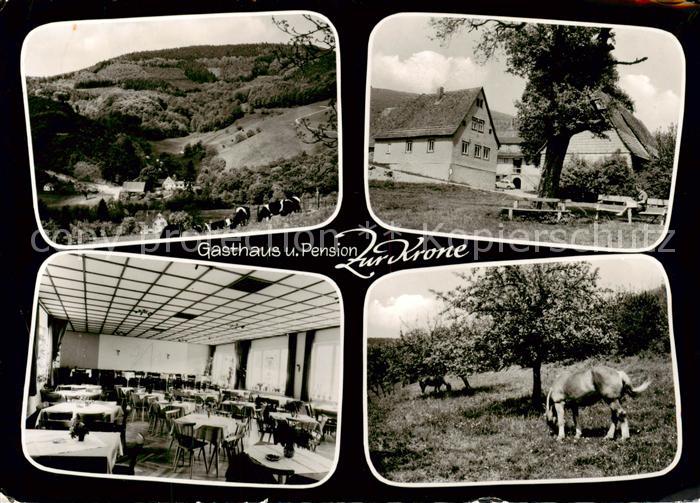 Eiterbach Panorama Gasthaus Zur Krone Gastraum Pferdeweide