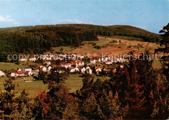 Grasellenbach Panorama