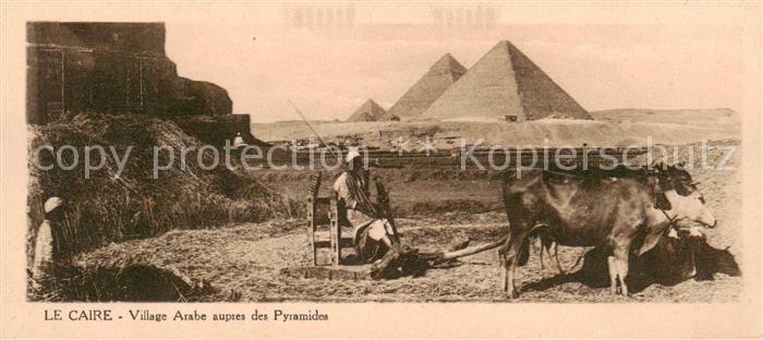 Le Caire  Egypt Village Arabe auprès des pyramides