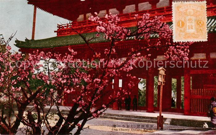 Kyoto Japan The Cherry Omuro