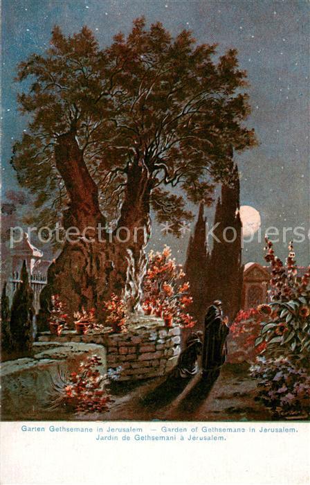 Jerusalem Yerushalayim Garten Gethsemane