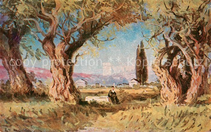 Jerusalem Yerushalayim Der Garten von Gethsemane