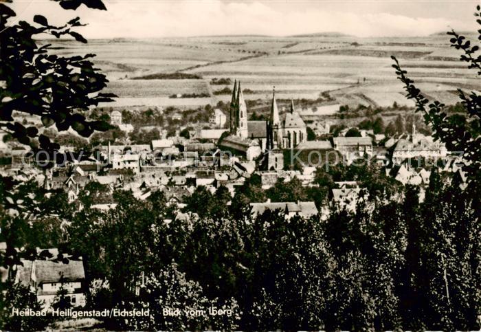 Heiligenstadt Eichsfeld Blick vom Iberg