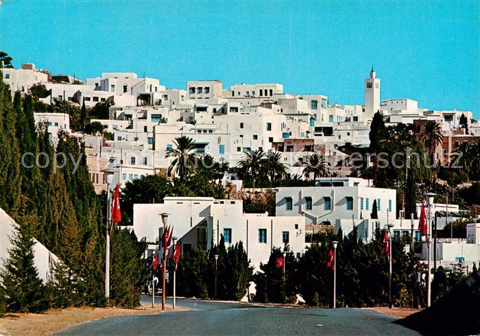 Sidi-Bou-Said Vue panoramique