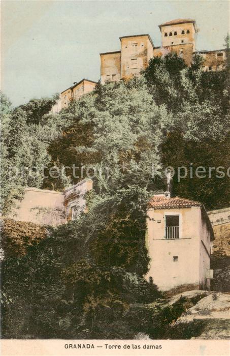 Granada Andalucia ES Torre de las damas