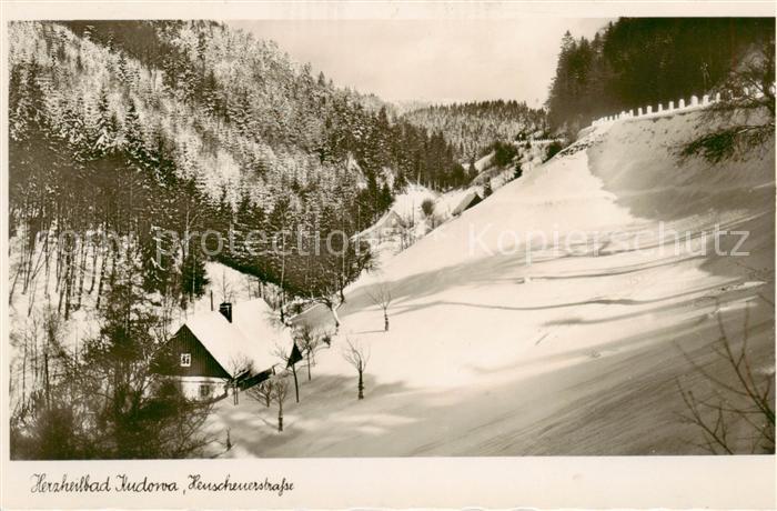 Bad Kudowa Kudowa-Zdroj Niederschlesien PL Heuscheuerstrasse