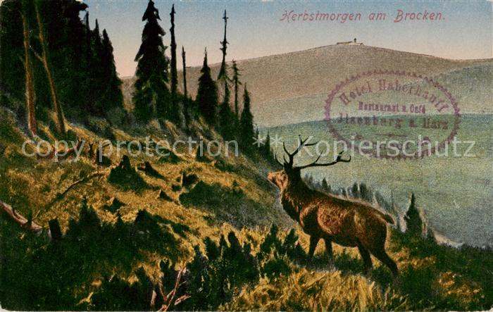 Wernigerode Harz Herbstmorgen am Brocken Hirsch Kuenstlerkarte