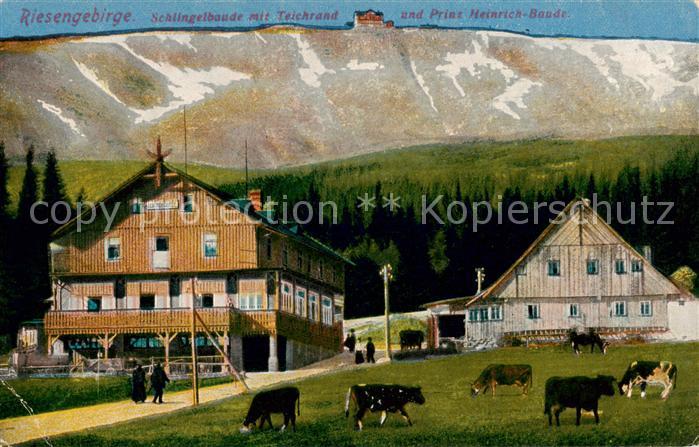 Krummhuebel Karpacz Riesengebirge PL Schlingelbaude mit Teichrand und Prinz Hein