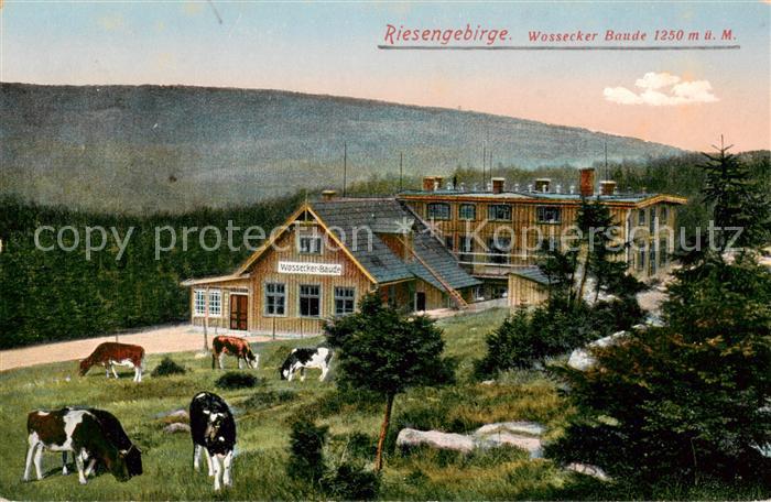 Harrachov Harrachsdorf CZ Wosseckerbaude im Riesengebirge