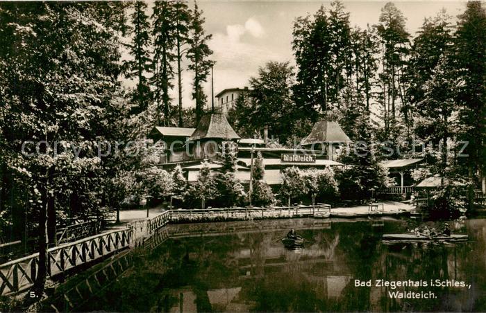 Bad Ziegenhals Oberschlesien Waldteich