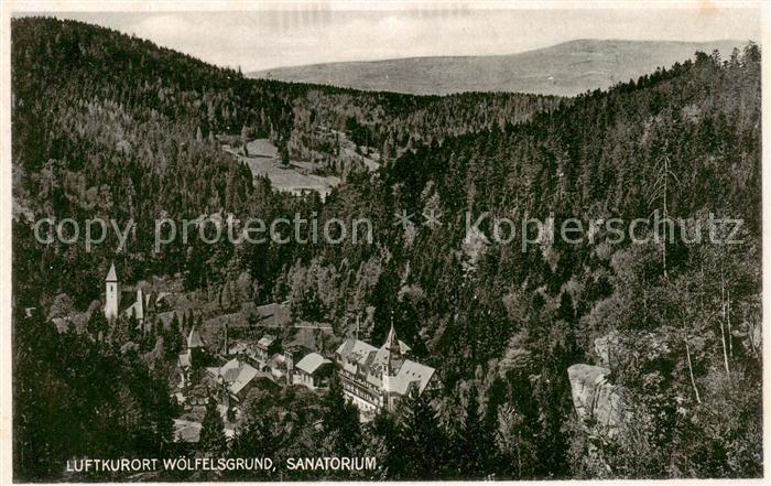Woelfelsgrund Glatz PL Panorama Luftkurort Sanatorium