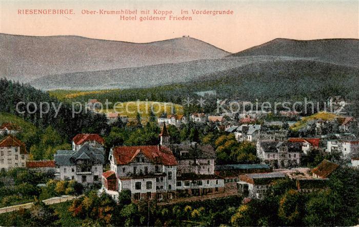 Ober-Krummhuebel Karpacz Riesengebirge PL Panorama Hotel Goldener Frieden Blick