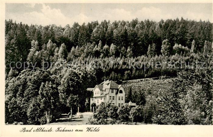 Bad Altheide Polanica-Zdrój Teehaus am Walde