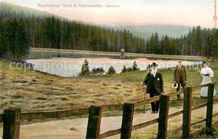 Hahnenklee-Bockswiese Harz Auerhahner Teich