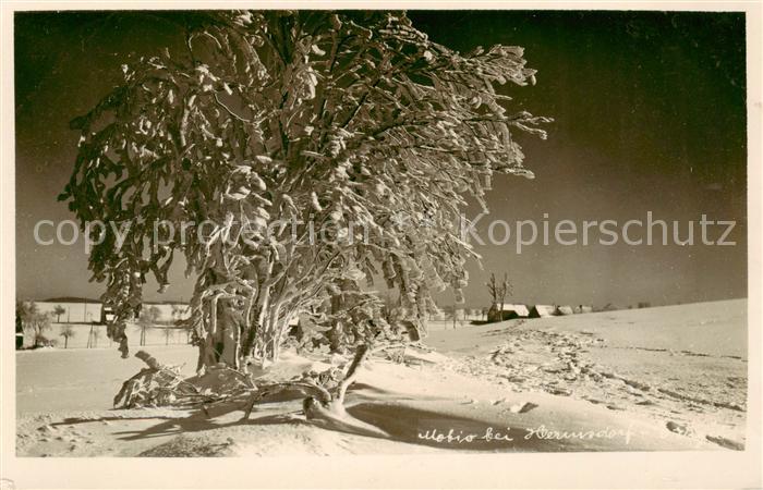 Hermsdorf Bad Riesengebirge PL Wintermotiv