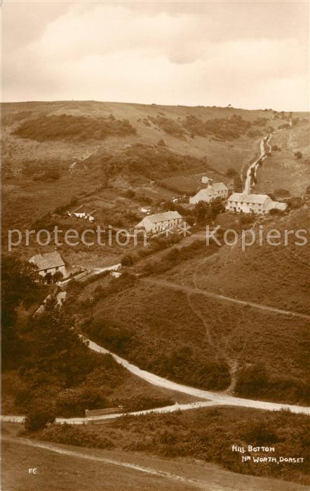 Dorset  UK Hill Bottom Nr Worth