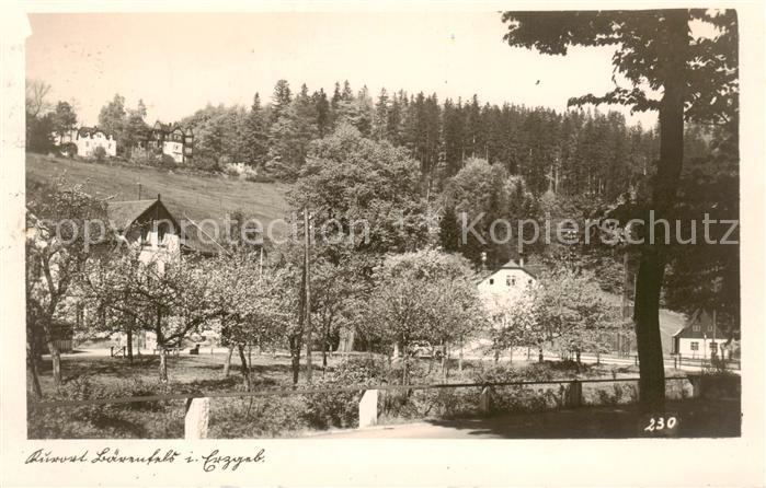 Baerenfels Erzgebirge Altenberg Panorama