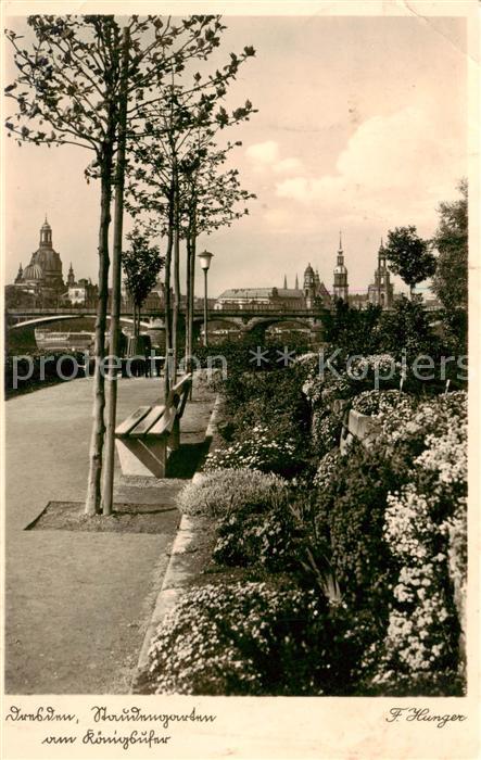 Dresden Elbe Staudengarten am Koenigsufer