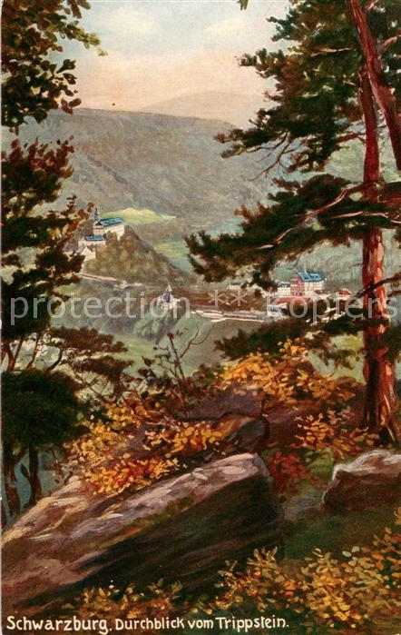 Schwarzburg Thueringer Wald Blick vom Trippstein