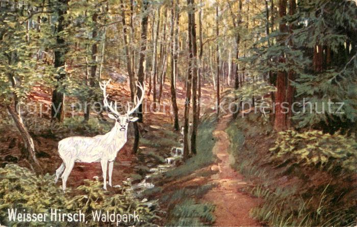 Weisser Hirsch Bad Dresden Waldpark