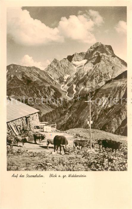 Widderstein AT Auf der Starzelalm