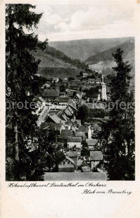 Lautenthal Harz Panorama Blick vom Bromberg