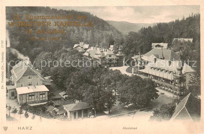 Alexisbad Harz Panorama