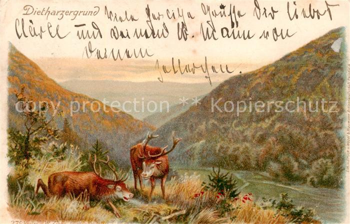 Dietharzergrund Tambach-Dietharz Panorama Hirsche