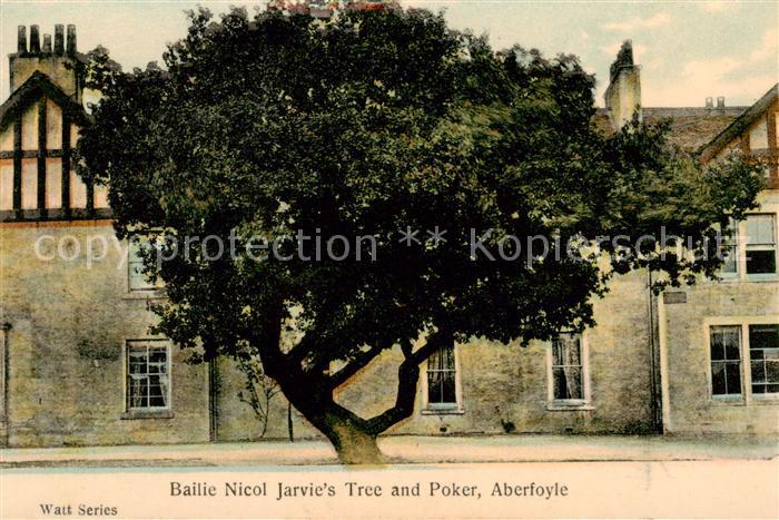 Aberfoyle Scotland UK Bailie Nicol Jarvies Tree and Poker
