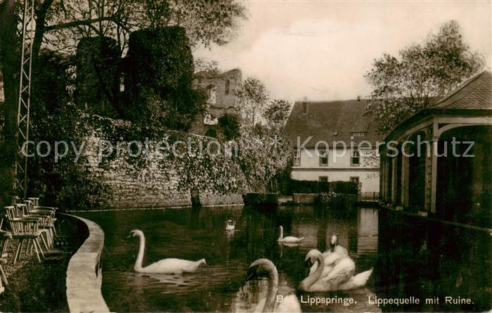 Lippspringe Bad Lippequelle mit Ruine