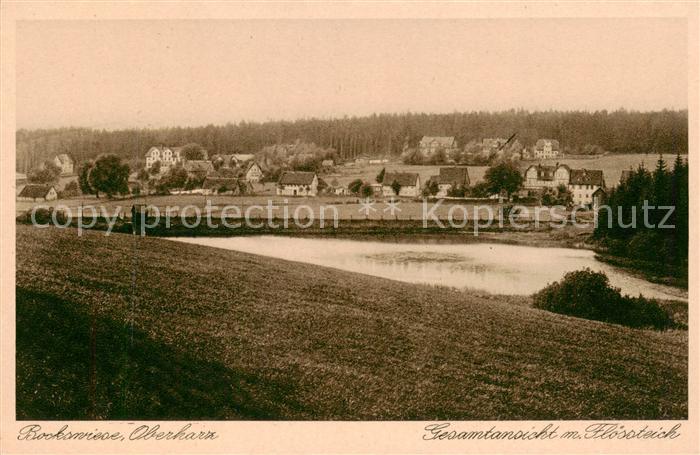 Bockswiese-Hahnenklee Harz Panorama mit Floessteich