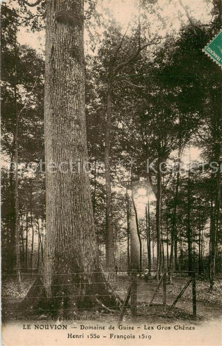 Baeume Trees Arbres Arboles Nouvion Domaine de Guise Les Gros Chenes