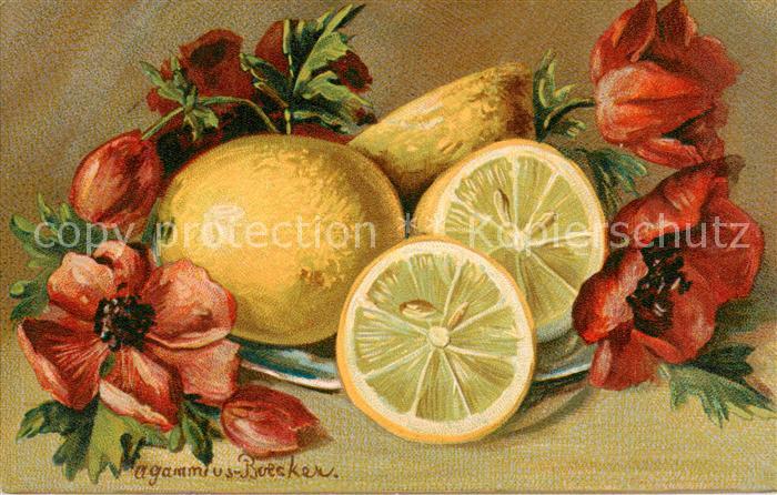 Stillleben ABS Serie 151 Zitrone Mohnblume Litho