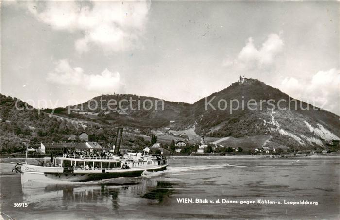 Dampfer Seitenrad Wien Donau Kaehlen Leopoldsberg