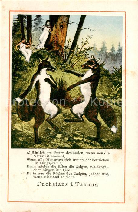 Fuchs Tiere Fuchstanz i. Taunus