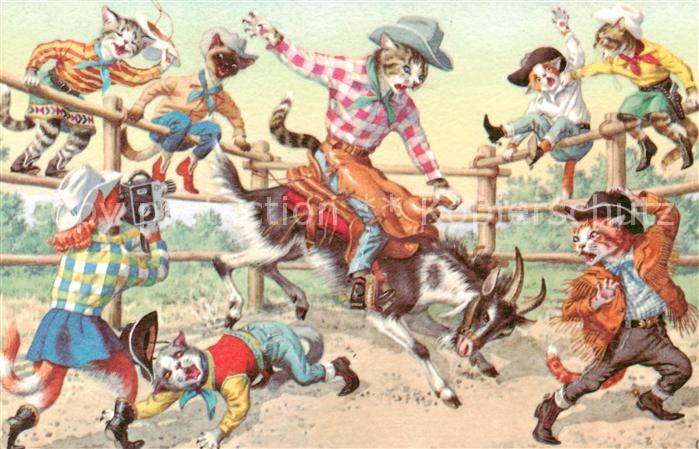 Vermenschlicht Katzen Ziege Reiten
