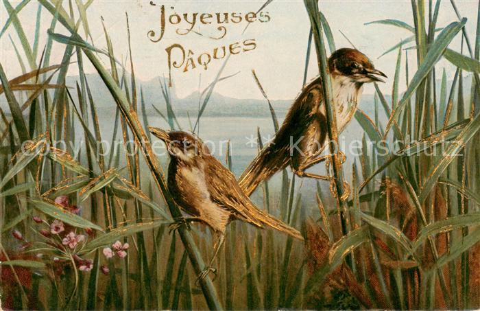 Voegel Birds Oiseaux Lausann Joyeuses Paques