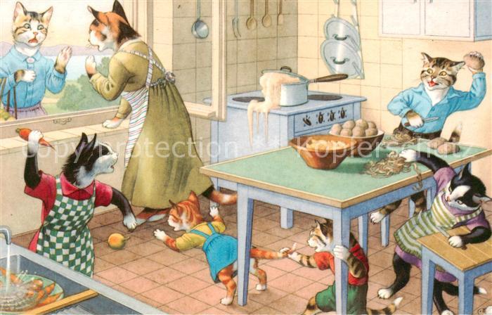 Vermenschlicht Katzen Küche
