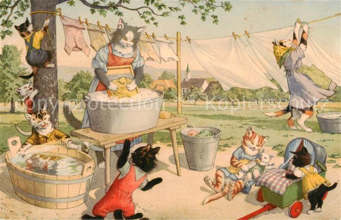 Vermenschlicht MKZ Nr 4732 Katzen Wesche waschen