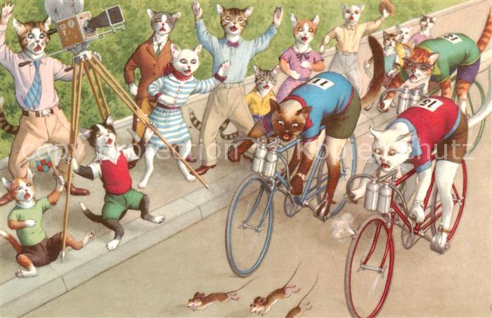 Vermenschlicht Katzen Renradfahren Maus