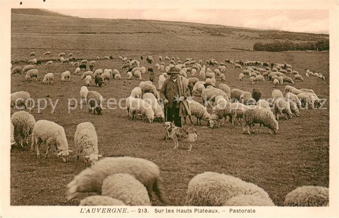 Schaeferei Sheperding Bergerie L Auvergne