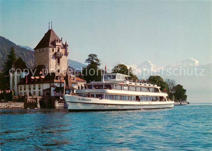 Dampfer Binnenschifffahrt MS Bluemlisalp Thunersee Oberhofen