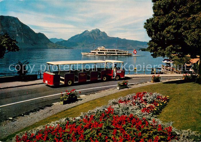 Autobus Omnibus Lido-Bus Weggis Pilatus